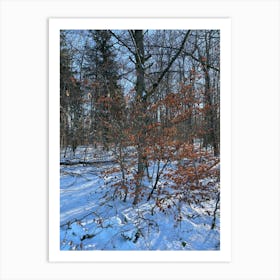 Snowy Woods 3 Art Print