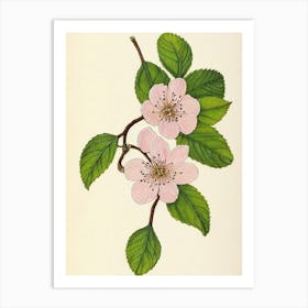 Cherry Blossom Vintage Botanical Flower Art Print