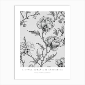 Peacock Flower (Caesalpinia Pulcherrima) B&W Vintage Botanical Poster Art Print