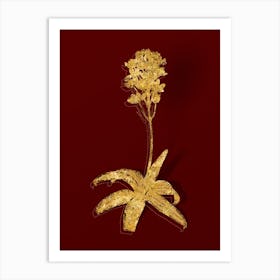 Vintage Sun Star Botanical in Gold on Red n.0080 Art Print
