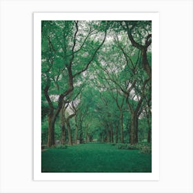 Mysterious Park, Oil Painting Art Print