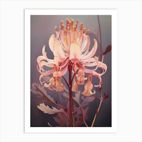 Floral Illustration Kangaroo Paw Flower Art Print