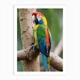 Colorful Parrot 2 Art Print