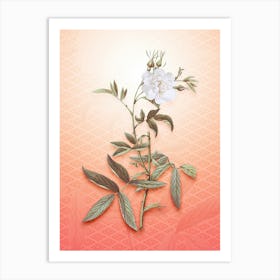 White Rose of York Vintage Botanical in Peach Fuzz Hishi Diamond Pattern n.0009 Art Print