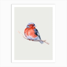 Watercolor Bird 1 Art Print