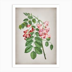 Vintage Robinier Rose Bloom Botanical on Parchment n.0750 Art Print