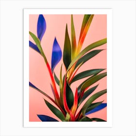 Sansevieria Colourful Illustration Art Print