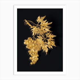 Vintage Grape Vine Botanical in Gold on Black n.0562 Art Print