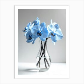 Blue Orchids In Vase Art Print