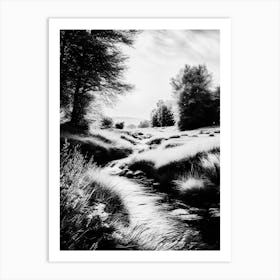 Black And White Of A Stream Art Print