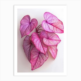 Heart Shaped Leaves 2 Art Print
