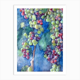 Grapes 2 Classic Fruit Art Print