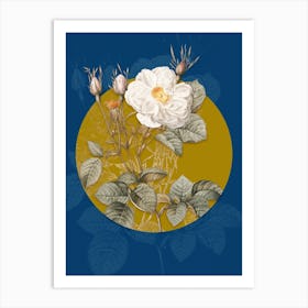 Vintage Botanical White Rose of York on Circle Yellow on Blue Art Print