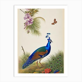 Peacock James Audubon Vintage Style Bird Art Print