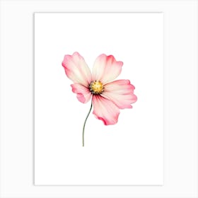 Pink Cosmos Flower Art Print