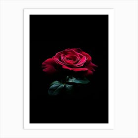 Red Rose On Black Background 29 Art Print