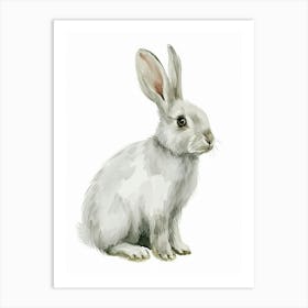 English Silver Rabbit Kids Illustration 3 Art Print