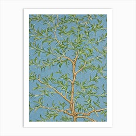 Live Oak 2 tree Vintage Botanical Art Print