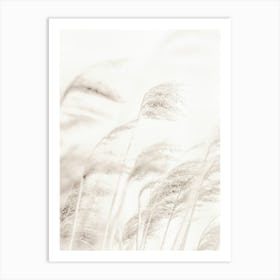 Beach Grass_2190674 Art Print