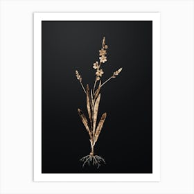 Gold Botanical Ixia Scillaris on Wrought Iron Black n.3380 Art Print