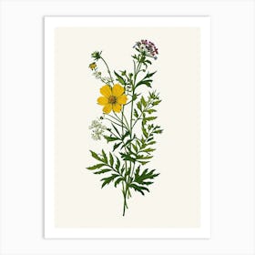 Vintage Botanical Galleria Style Wildflower Painting 1 Art Print