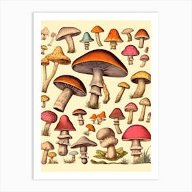 Vintage Mushrooms 3 Art Print