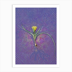 Vintage Ixia Recurva Botanical Illustration on Veri Peri n.0098 Art Print