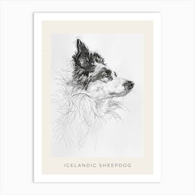 Icelandic Sheepdog Line Art 2 Poster Art Print