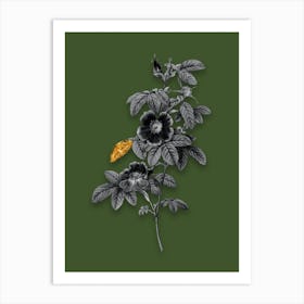 Vintage Single May Rose Black and White Gold Leaf Floral Art on Olive Green n.0832 Art Print