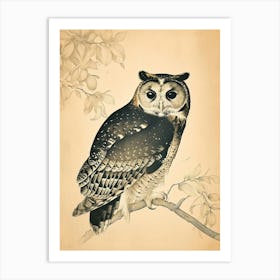 Australian Masked Owl Vintage Illustration 5 Art Print