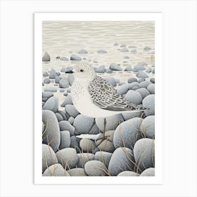 Winter Bird Painting Grey Plover 2 Art Print