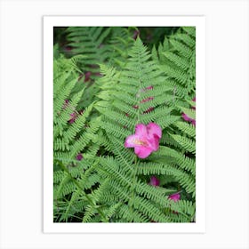 Fern leaf with pink rhododendron flower Art Print