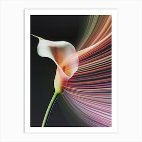 Lighthouse Calla Art Print