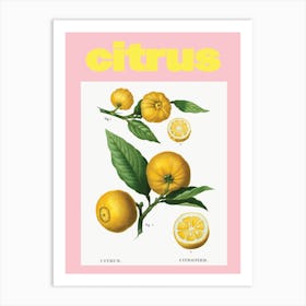 Citrus Art Print
