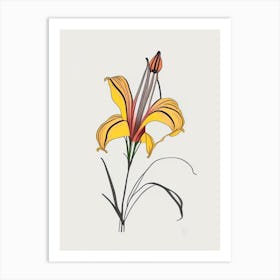 Tiger Lily Floral Minimal Line Drawing 4 Flower Art Print