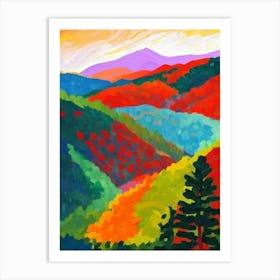 Great Smoky Mountains National Park 1 United States Of America Abstract Colourful Art Print