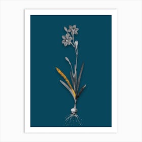 Vintage Coppertips Black and White Gold Leaf Floral Art on Teal Blue n.0117 Art Print