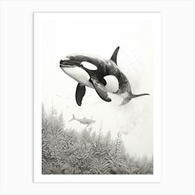 Underwater Realistic Pencil Drawing Orca Whale Art Print