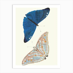 Vintage Painting Blue Butterflies Art Print