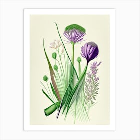 Chives Spices And Herbs Retro Drawing 1 Art Print