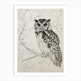 Spotted Owl Drawing 2 Art Print