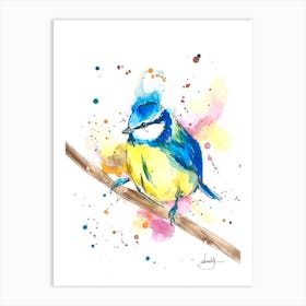 Blue Tit Bird Art Print