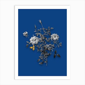 Vintage Dwarf Rosebush Black and White Gold Leaf Floral Art on Midnight Blue Art Print