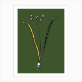 Vintage Allium Scorzonera Folium Black and White Gold Leaf Floral Art on Olive Green n.0332 Art Print