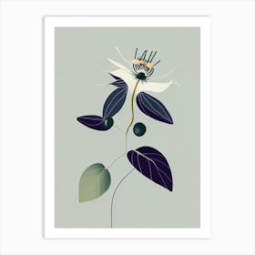 Passion Flower Herb Simplicity Art Print