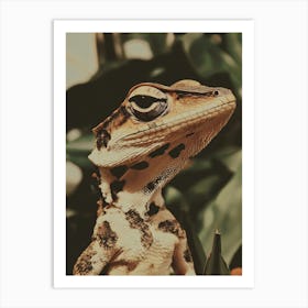 Lizard 6 Art Print