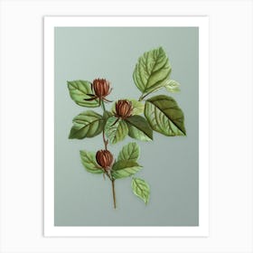 Vintage Carolina Allspice Flower Botanical Art on Mint Green n.0951 Art Print