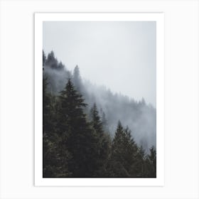 Cold Rainy Forest Art Print