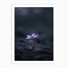 Purple Flower In The Dark 1 Art Print