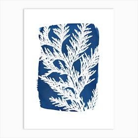 Cypress Conifer Leaf Blue Art Print